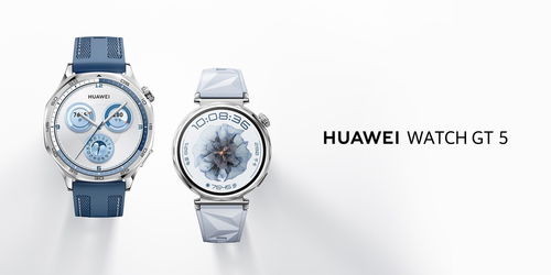 华为Watch GT 5智能手表国行售价公布 双尺寸不锈钢机身，1488元起